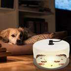 Indoor Insect Trap with Sticky Pads
