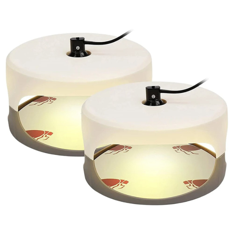Indoor Insect Trap with Sticky Pads