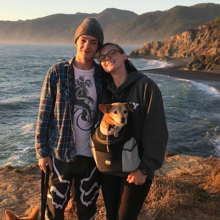 Electrostatic Pet Hair Cleaning Gloves