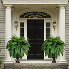 Artificial Boston Fern Plant for Home Decor