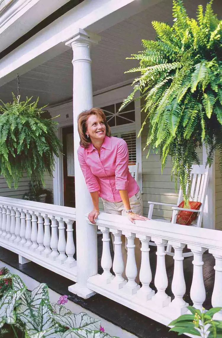 Artificial Boston Fern Plant for Home Decor