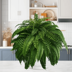 Artificial Boston Fern Plant for Home Decor