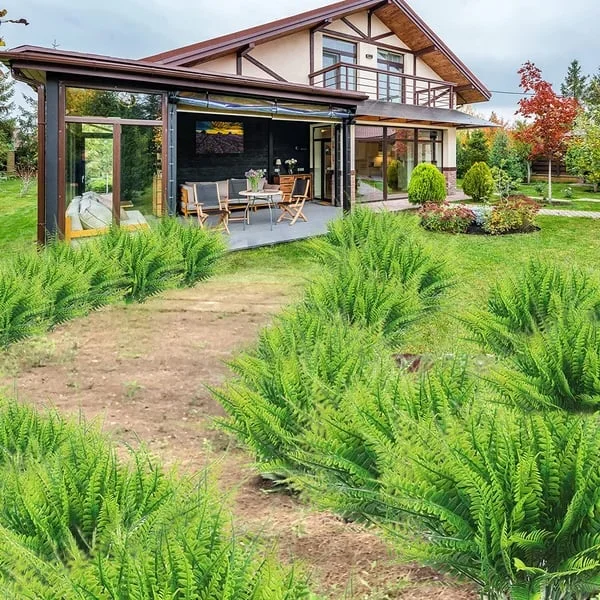 Artificial Boston Fern Plant for Home Decor