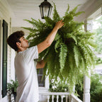 Artificial Boston Fern Plant for Home Decor
