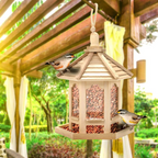 Wooden Transparent Bird Feeder