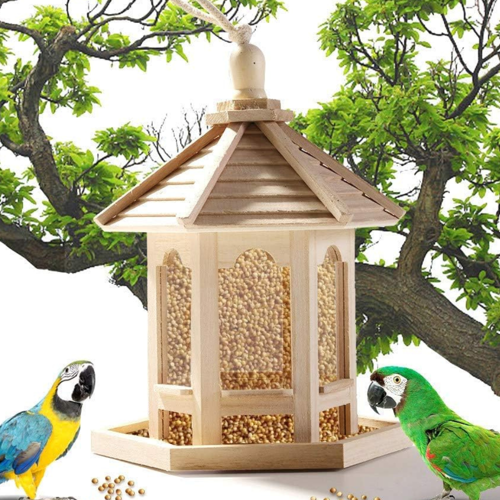 Wooden Transparent Bird Feeder