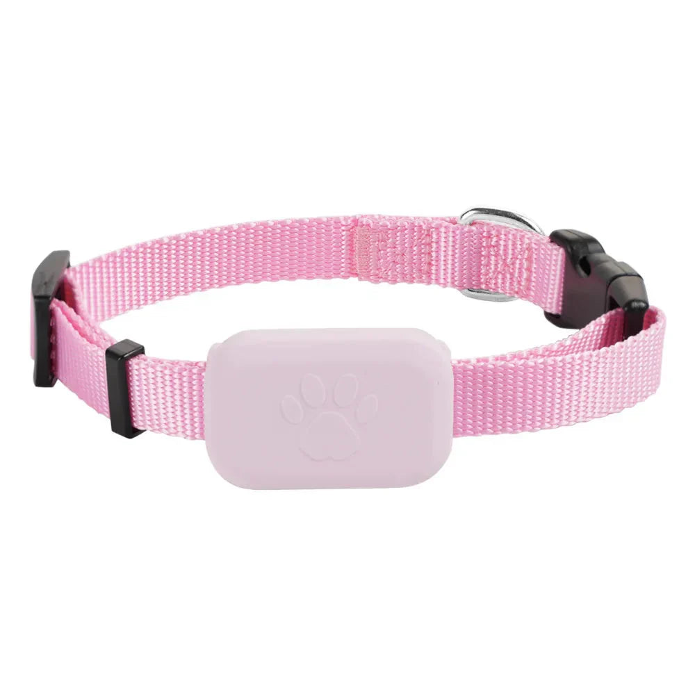 Pet Location Collar Tracker Network