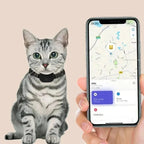 Pet Location Collar Tracker Network