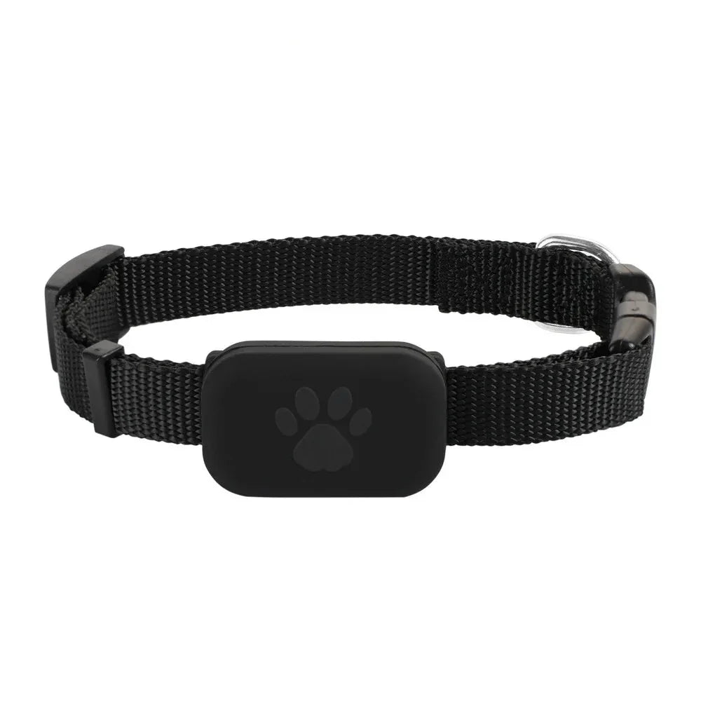 Pet Location Collar Tracker Network