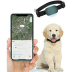 Pet Location Collar Tracker Network
