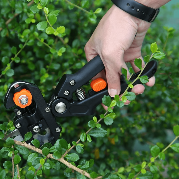 Garden Grafting and Pruning Tool