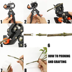 Garden Grafting and Pruning Tool