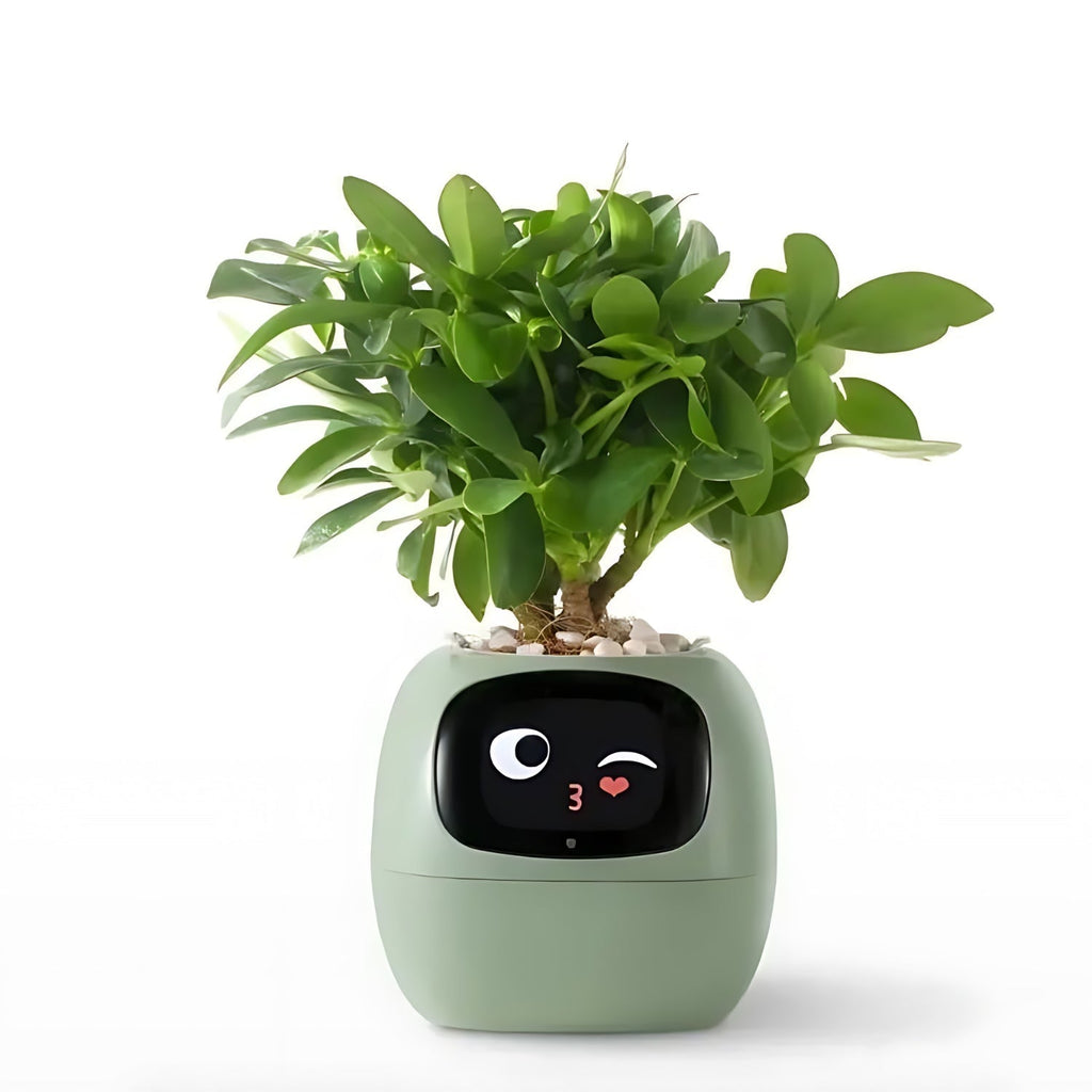 Smart Plant Care Device