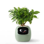 Smart Plant Care Device