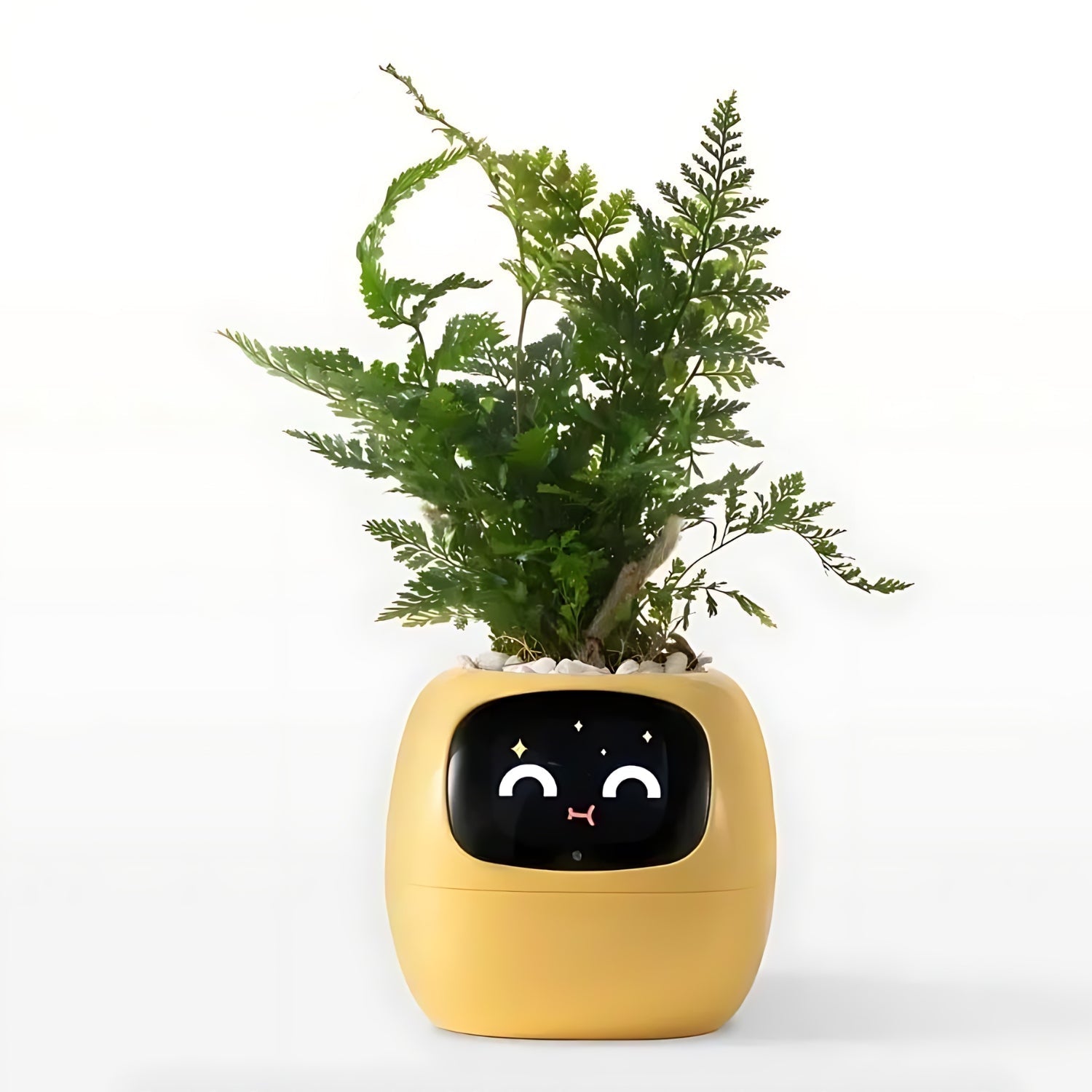 Smart Plant Care Device