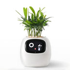 Smart Plant Care Device
