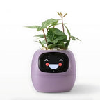Smart Plant Care Device