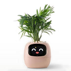 Smart Plant Care Device