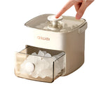 Compact Ice Storage Container