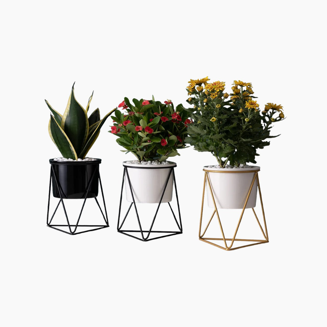 Ceramic Flower Pot with Iron Stand