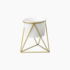 Ceramic Flower Pot with Iron Stand