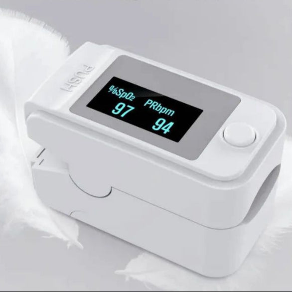 Portable Smart Display Device
