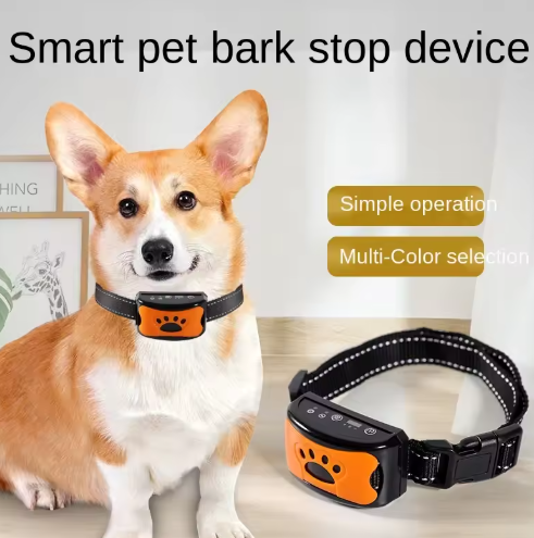 Dog Training Collar with Vibration
