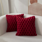 Soft Fluffy Cushion