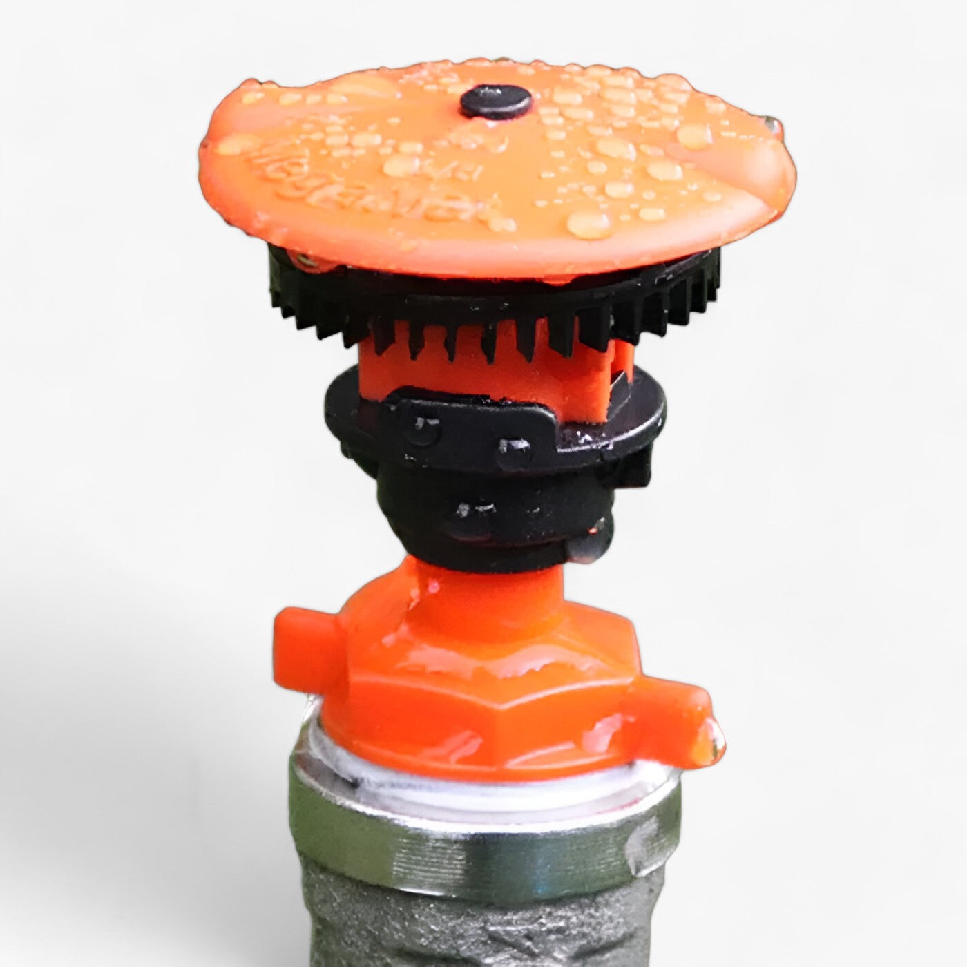 Long-Spout Watering Can