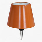 Wireless LED Wine Bottle Lamp