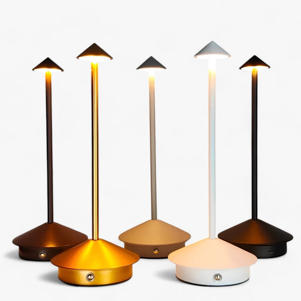 Rechargeable LED Desk Lamp with Type-C Charging