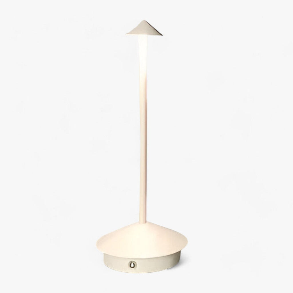 Rechargeable LED Desk Lamp with Type-C Charging