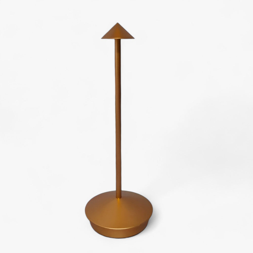 Rechargeable LED Desk Lamp with Type-C Charging