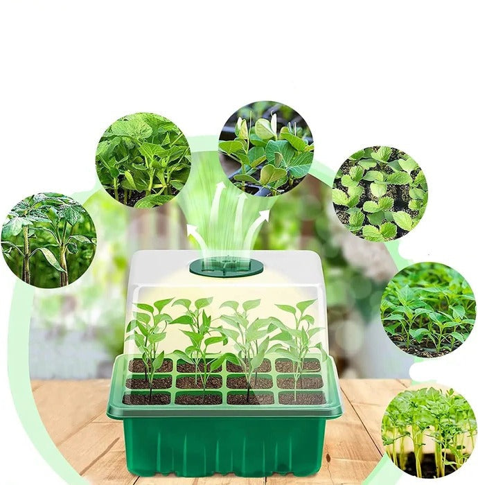 Indoor Mini Greenhouse Grow Light Kit