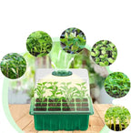 Indoor Mini Greenhouse Grow Light Kit