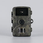 Wildlife Motion Camera Night Vision