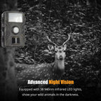 Wildlife Motion Camera Night Vision