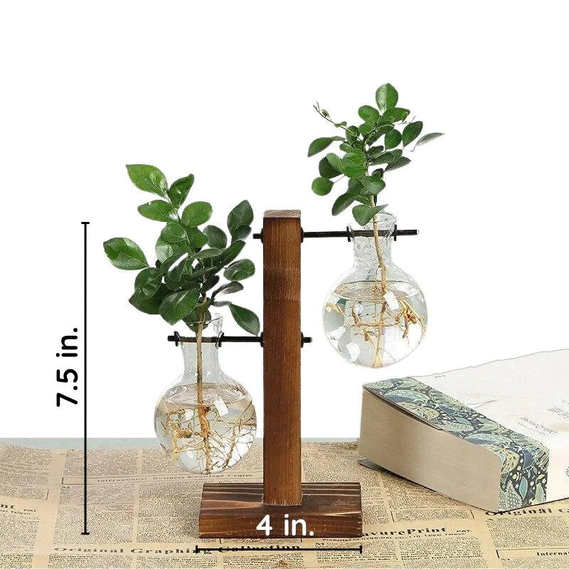 Wall Mounted Hydroponic Vase
