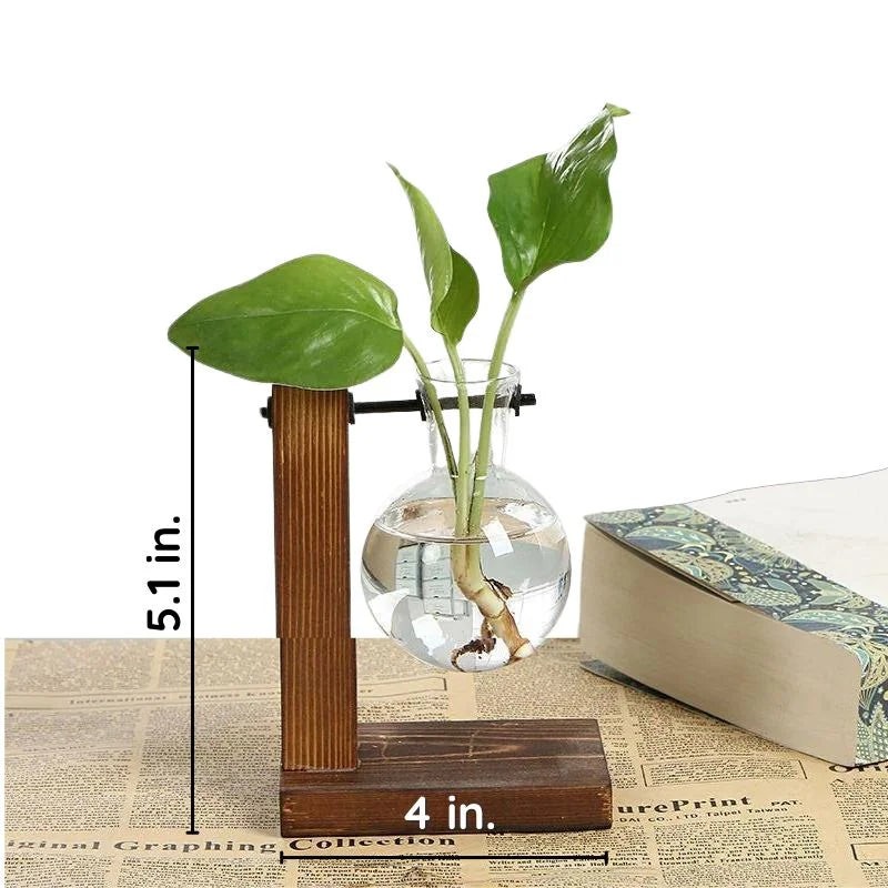 Wall Mounted Hydroponic Vase