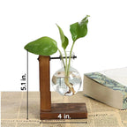 Wall Mounted Hydroponic Vase