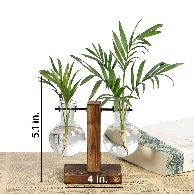 Wall Mounted Hydroponic Vase