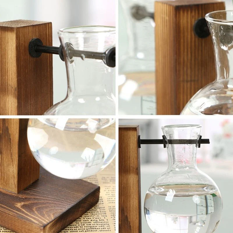 Wall Mounted Hydroponic Vase