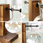 Wall Mounted Hydroponic Vase