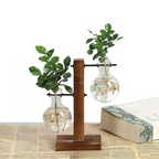 Wall Mounted Hydroponic Vase