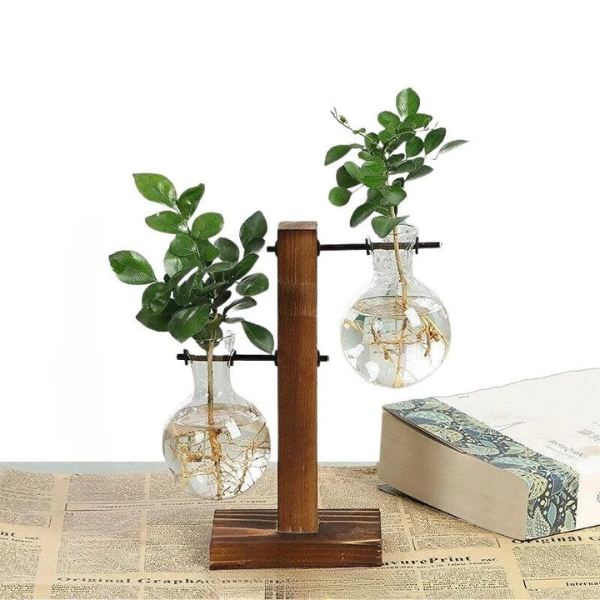 Wall Mounted Hydroponic Vase