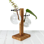 Wall Mounted Hydroponic Vase