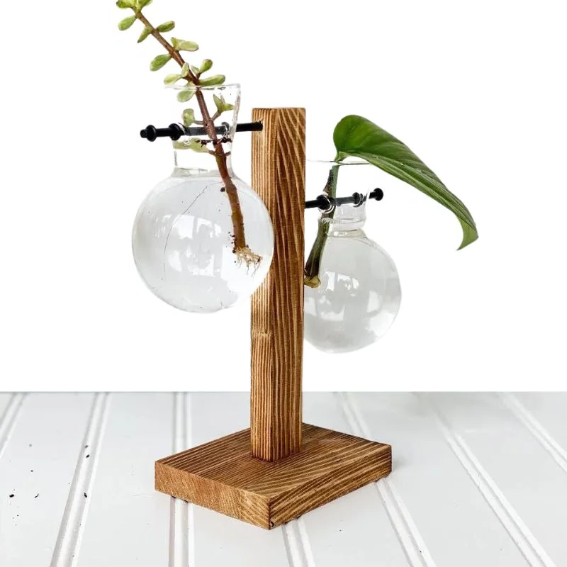 Wall Mounted Hydroponic Vase