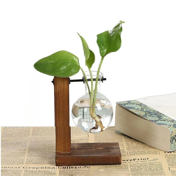 Wall Mounted Hydroponic Vase