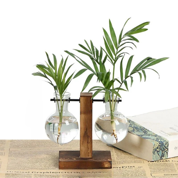 Wall Mounted Hydroponic Vase