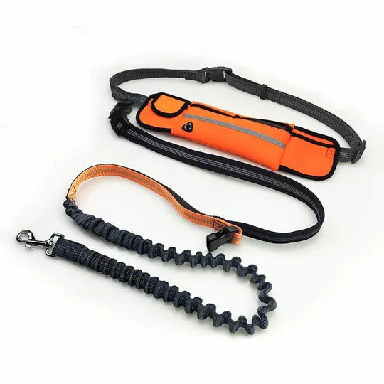Hands Free Dog Running Leash Belt